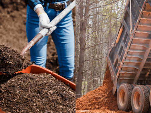 Dump Runs in Cairns
