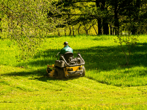 Ride on Lawn Mowing in Cairns
