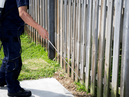 Poisoning in Cairns
