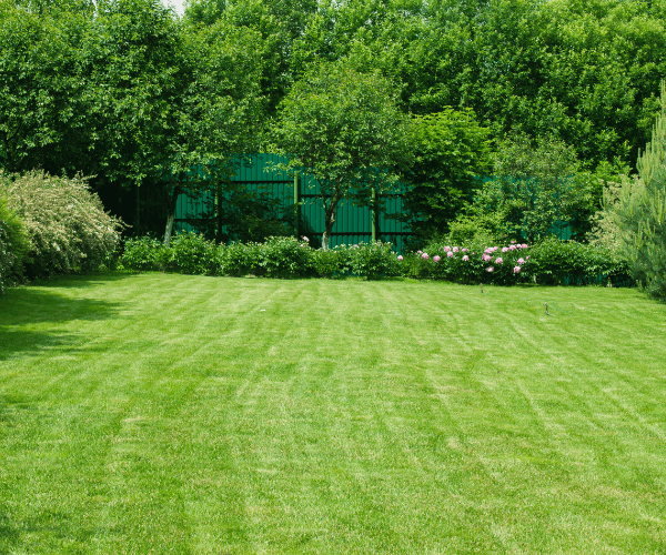 Ride on Lawn Mowing Cairns