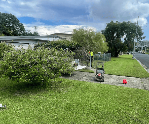 Mowing and Snipping Cairns