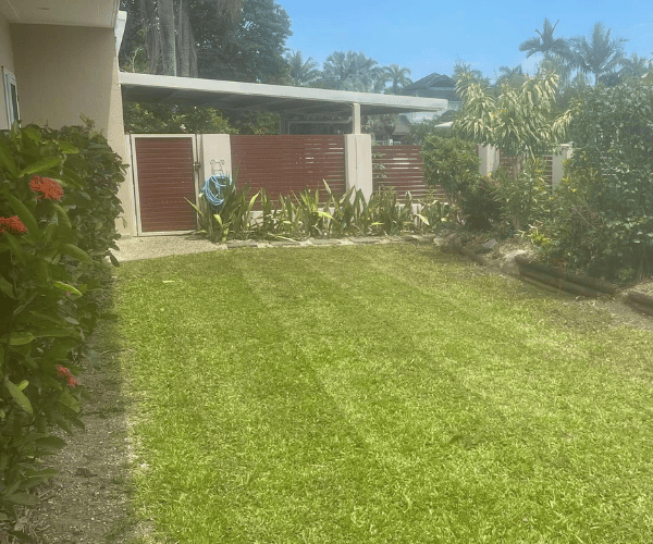Dump Runs Cairns
