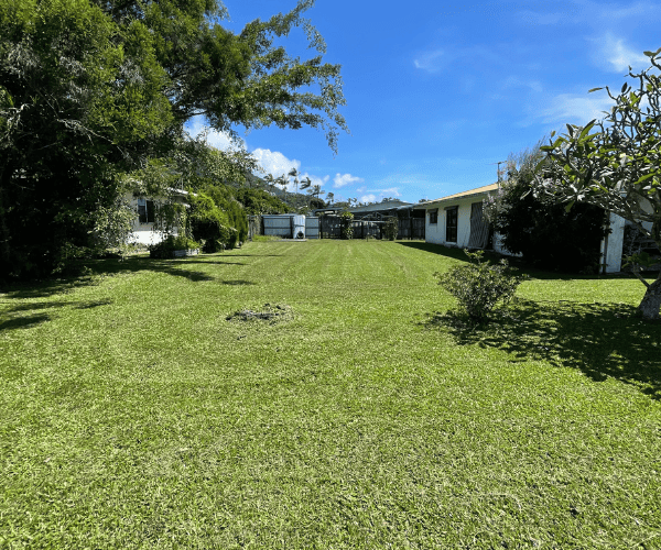  Cairns
