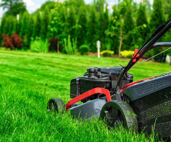 Gordonvale Garden Clean ups