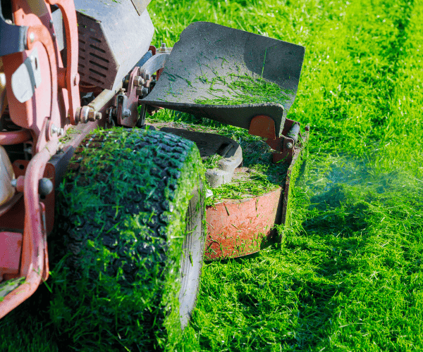 Edmonton Ride on Lawn Mowing