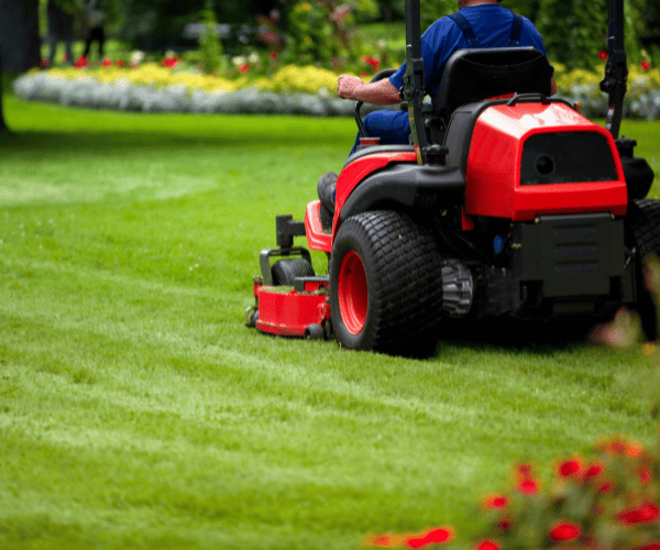  Mowing and Snipping