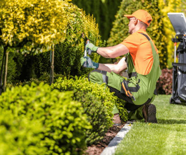  Pruning and Trimming