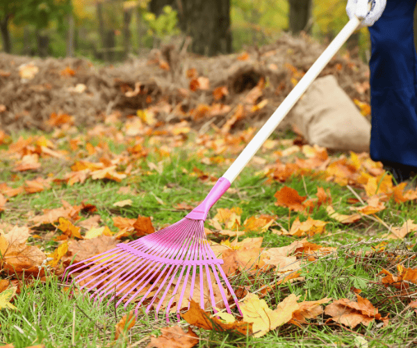 Edmonton Garden Clean ups
