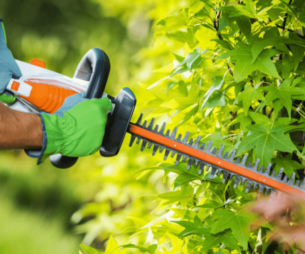 Edmonton Hedging
