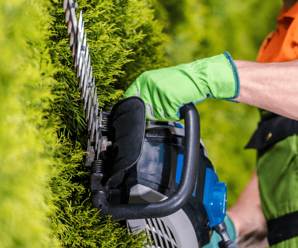 Mowing and Snipping