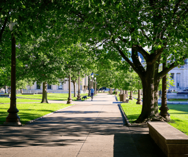 Bentley Park Garden Clean ups