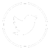 Twitter/X icon