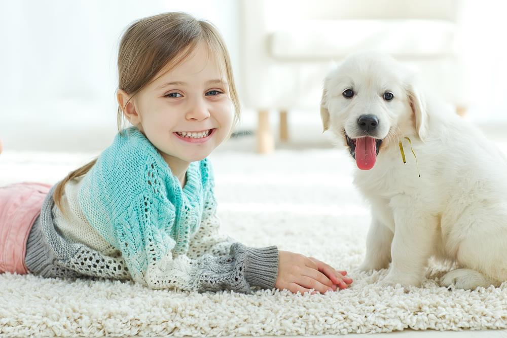 About Us - Pristine Carpet Cleaning is centrally located in the Santa Clarita Valley. Servicing the Santa Clarita Valley and the Los Angeles County Area with a team of experts that are professionally trained in carpet cleaning and upholstery both in Residential and commercial settings. We make sure you’ll be satisfied with our service.  We take pride in providing prompt professional service with a smile. Your satisfaction is our key to success.