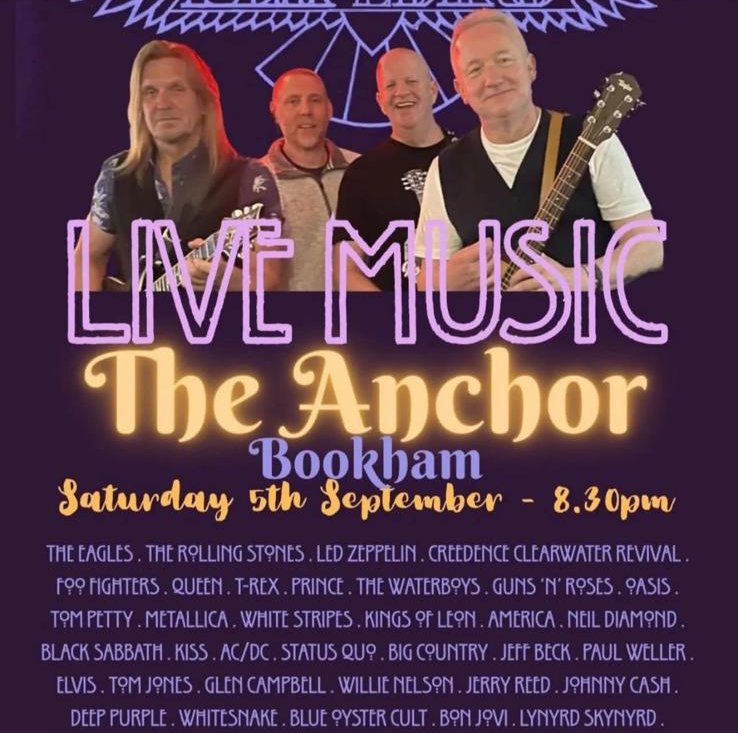 Flip the Bird live at The Anchor