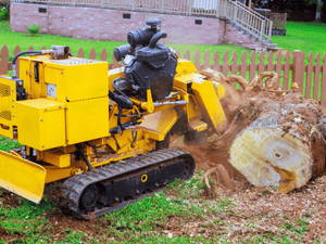 {{ custom_values.service_4 }} in {{custom_values.area_1})