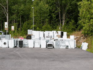 {{ custom_values.service_4 }} in {{custom_values.area_3})