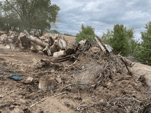 {{ custom_values.service_1 }} in {{custom_values.area_1})