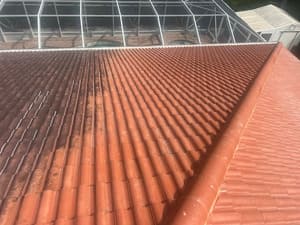 {{ custom_values.service_1 }} in {{custom_values.area_7})