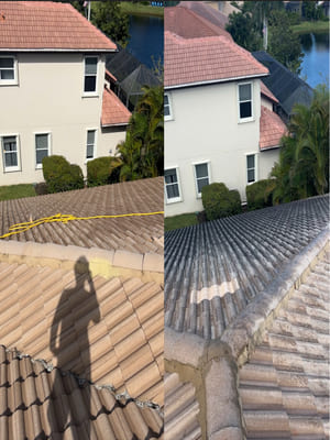 {{ custom_values.service_3 }} in {{custom_values.area_4})