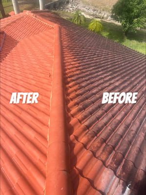 Commercial Pressure Washing in Doctor Phillips FL