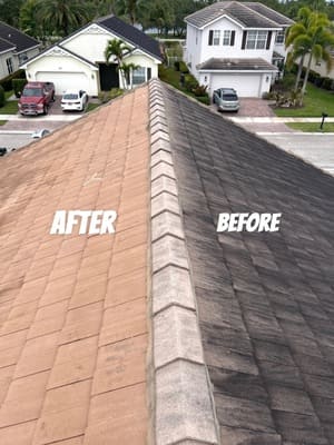 Residential Pressure Washing in Orlando FL