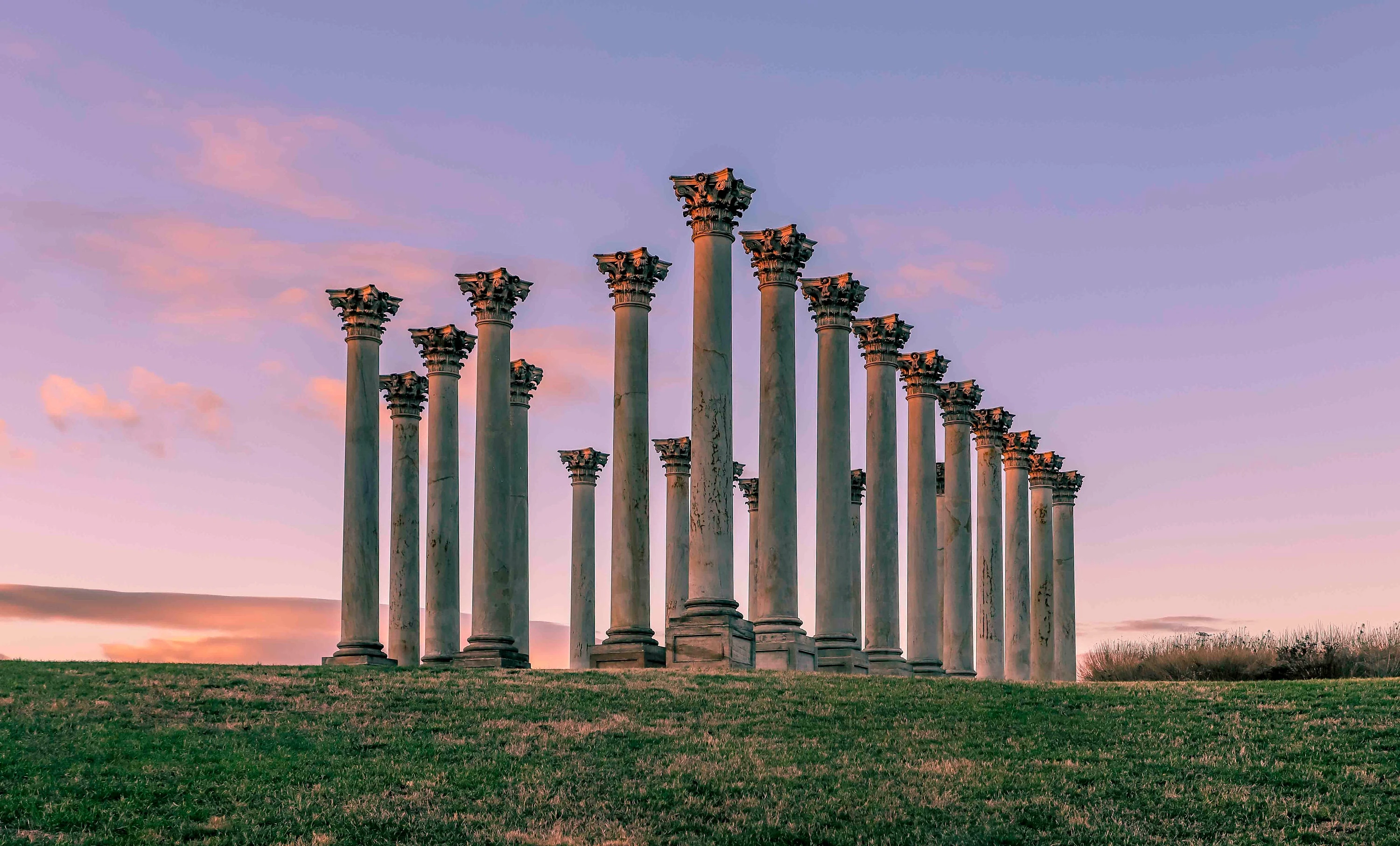 United States National Arboretum
