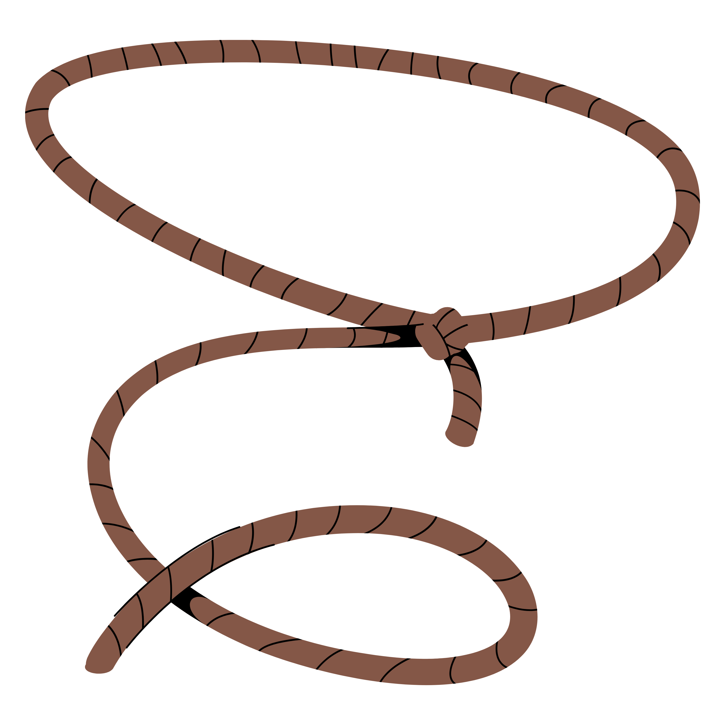 Rodeo