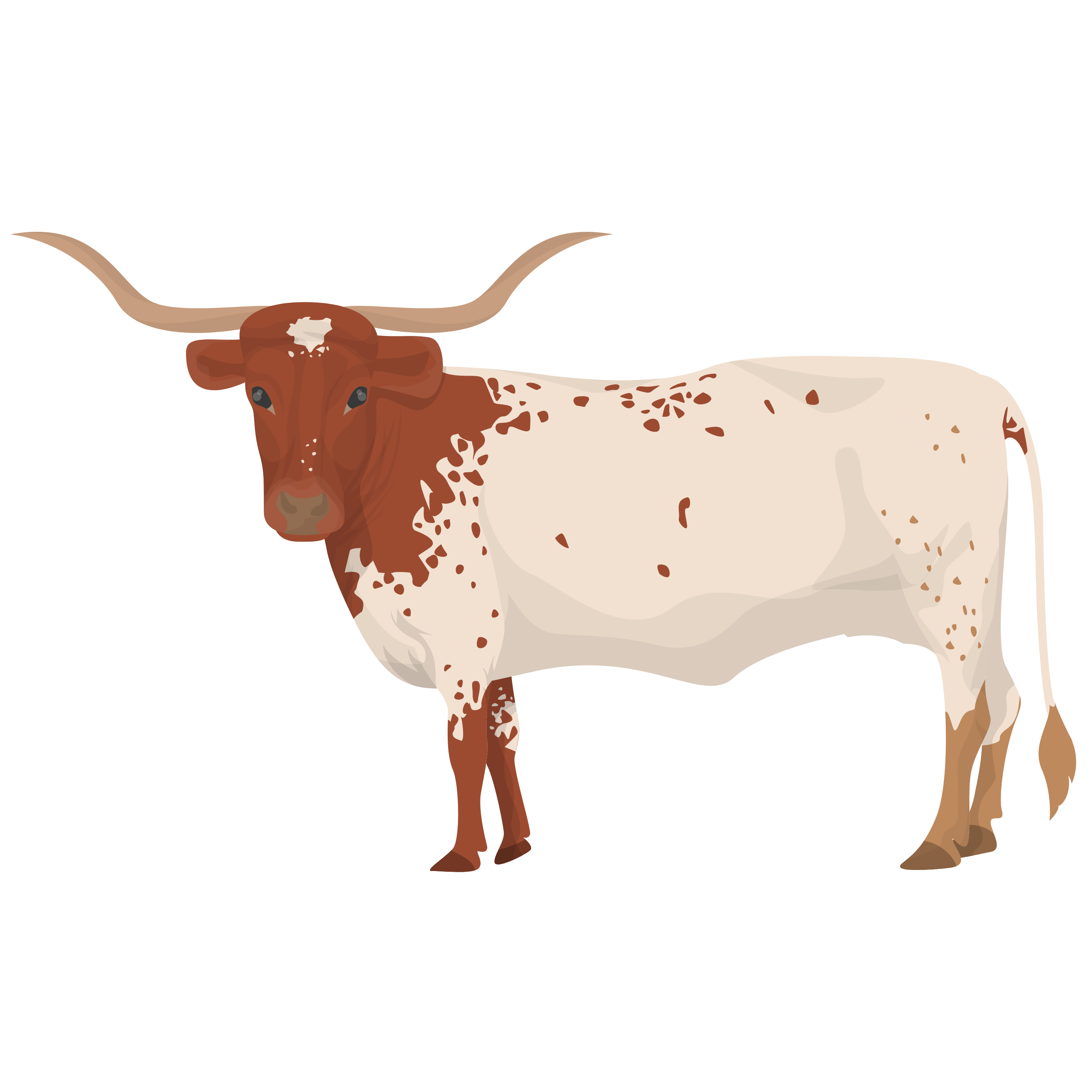 Longhorn Spread