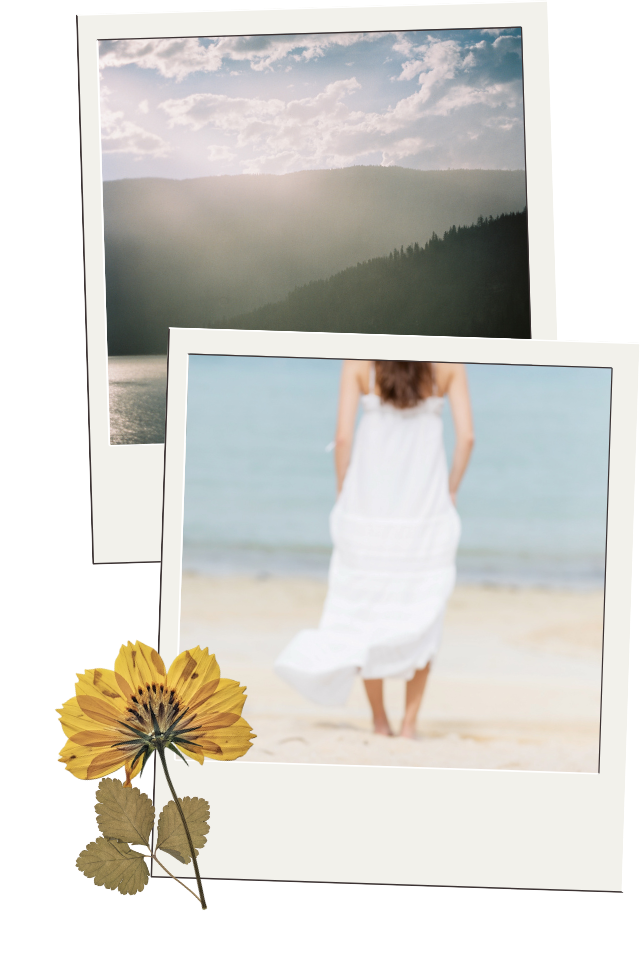 2 Polaroids and a pressed flower