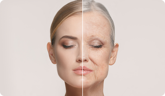 Wrinkles, Structure & Prevention: Why Aging Is Easier to Prevent Than Fix