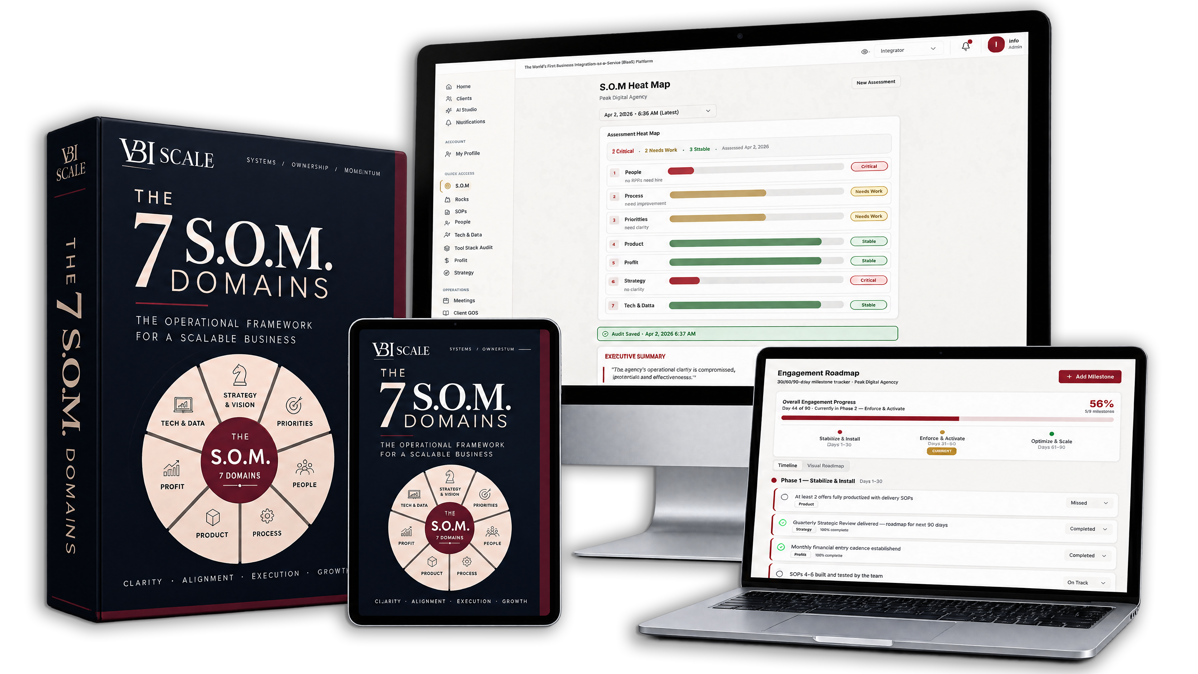 The 7 S.O.M. Domains