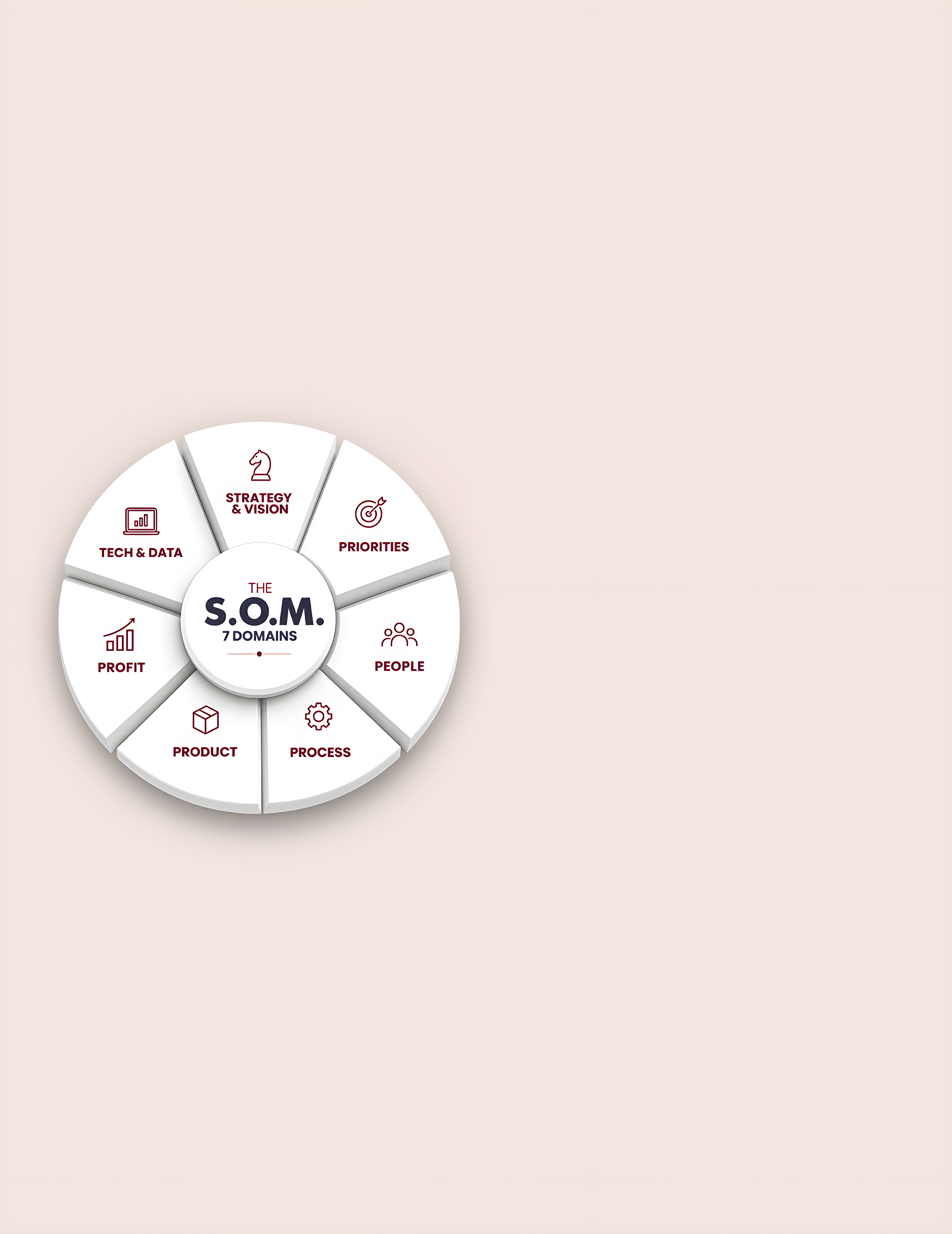 The S.O.M. 7 Domains