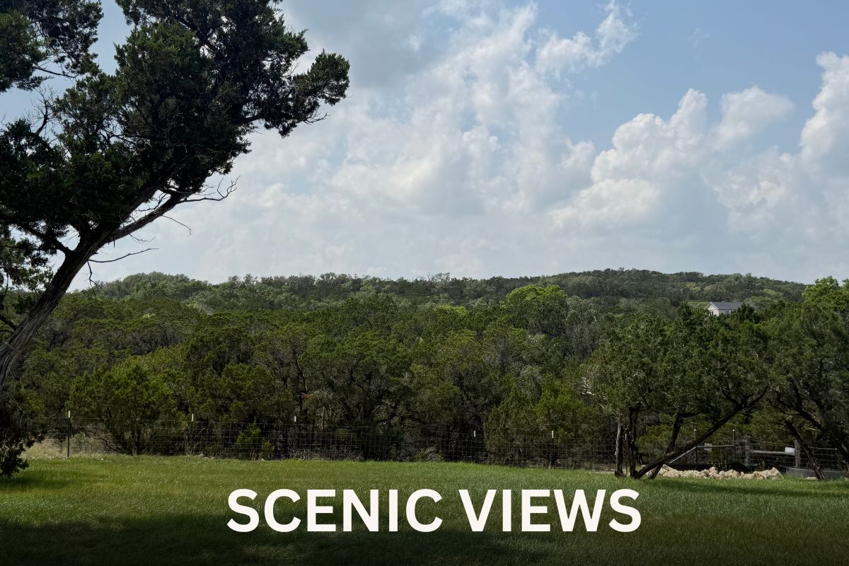 Pierced Oak RV Park photo 3