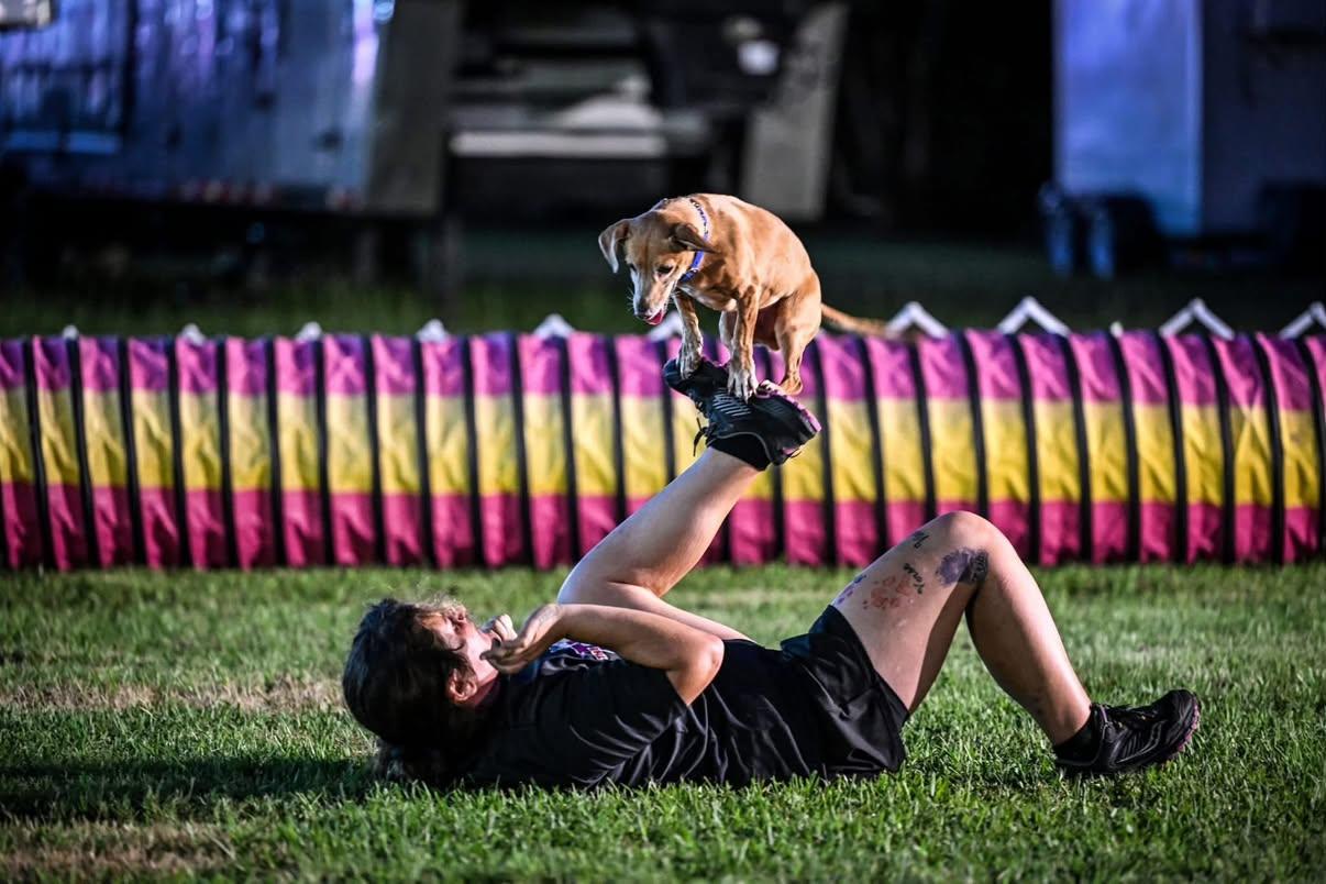 Andrea balancing a small dog on her feet in front of an agility tunnel