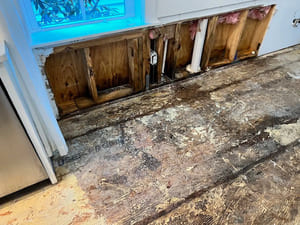 {{ custom_values.service_2 }} in {{custom_values.area_2})