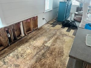 {{ custom_values.service_1 }} in {{custom_values.area_2})