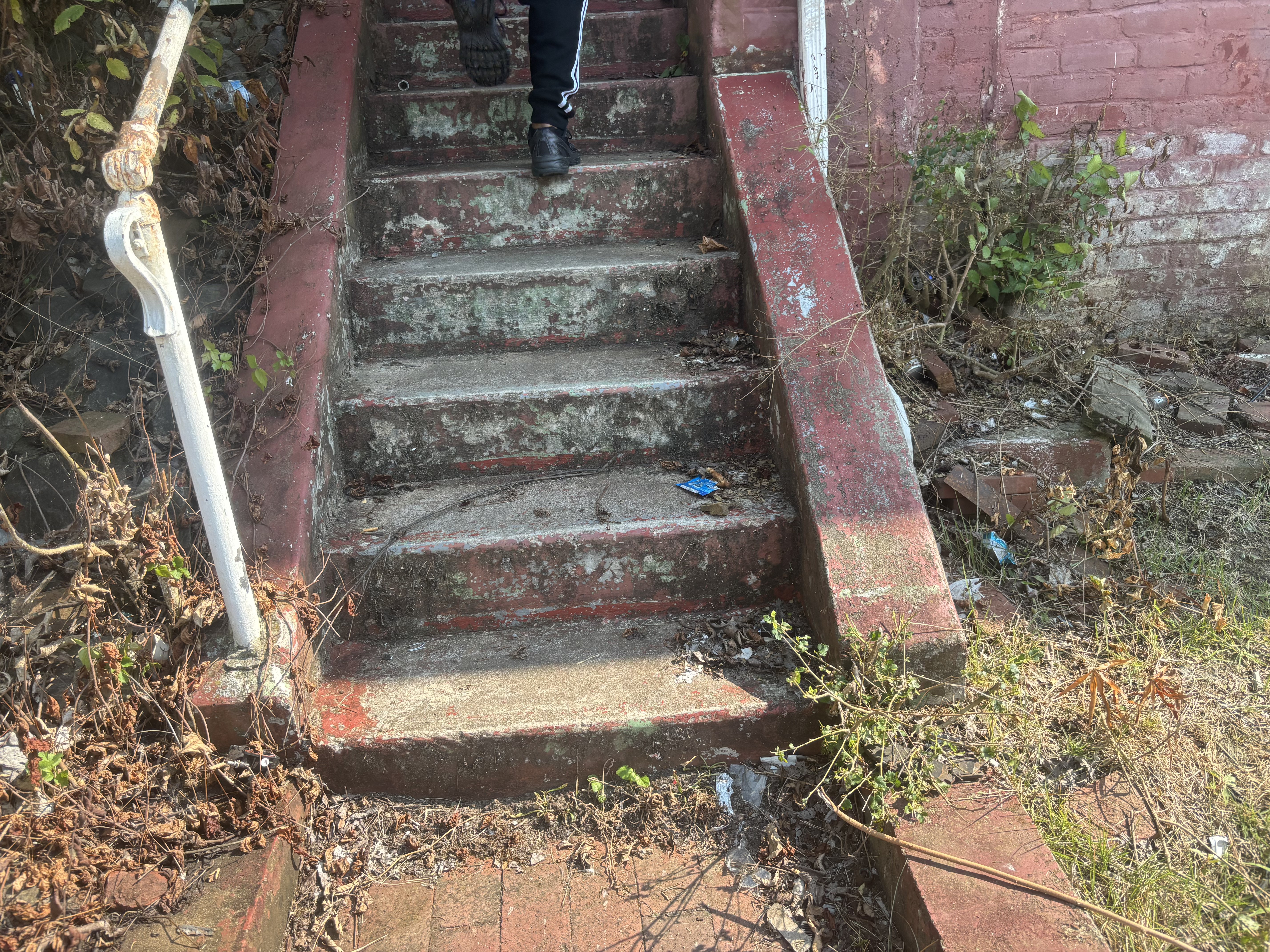 1240 Myrtle Ave photo 2