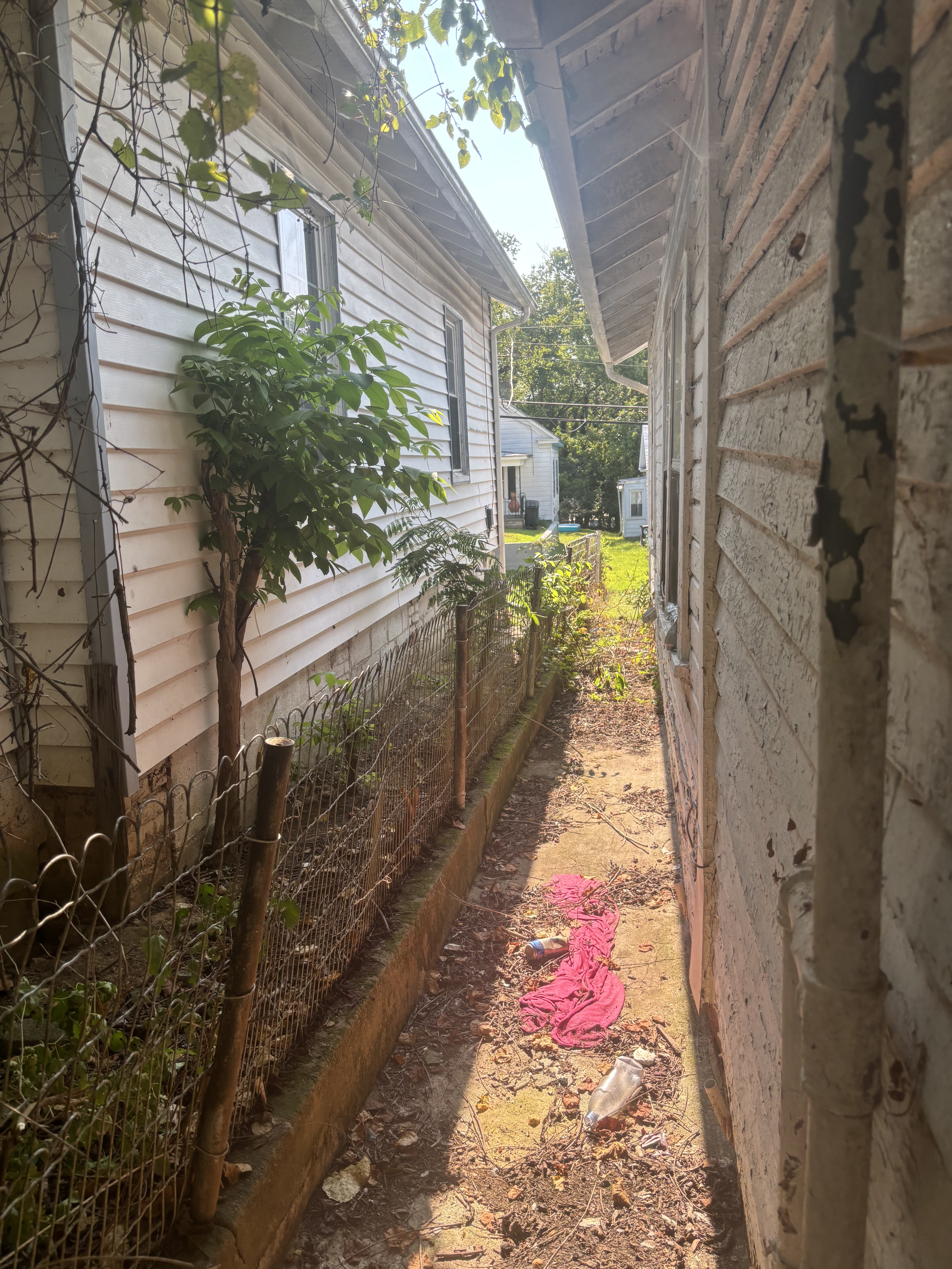 1240 Myrtle Ave photo 3