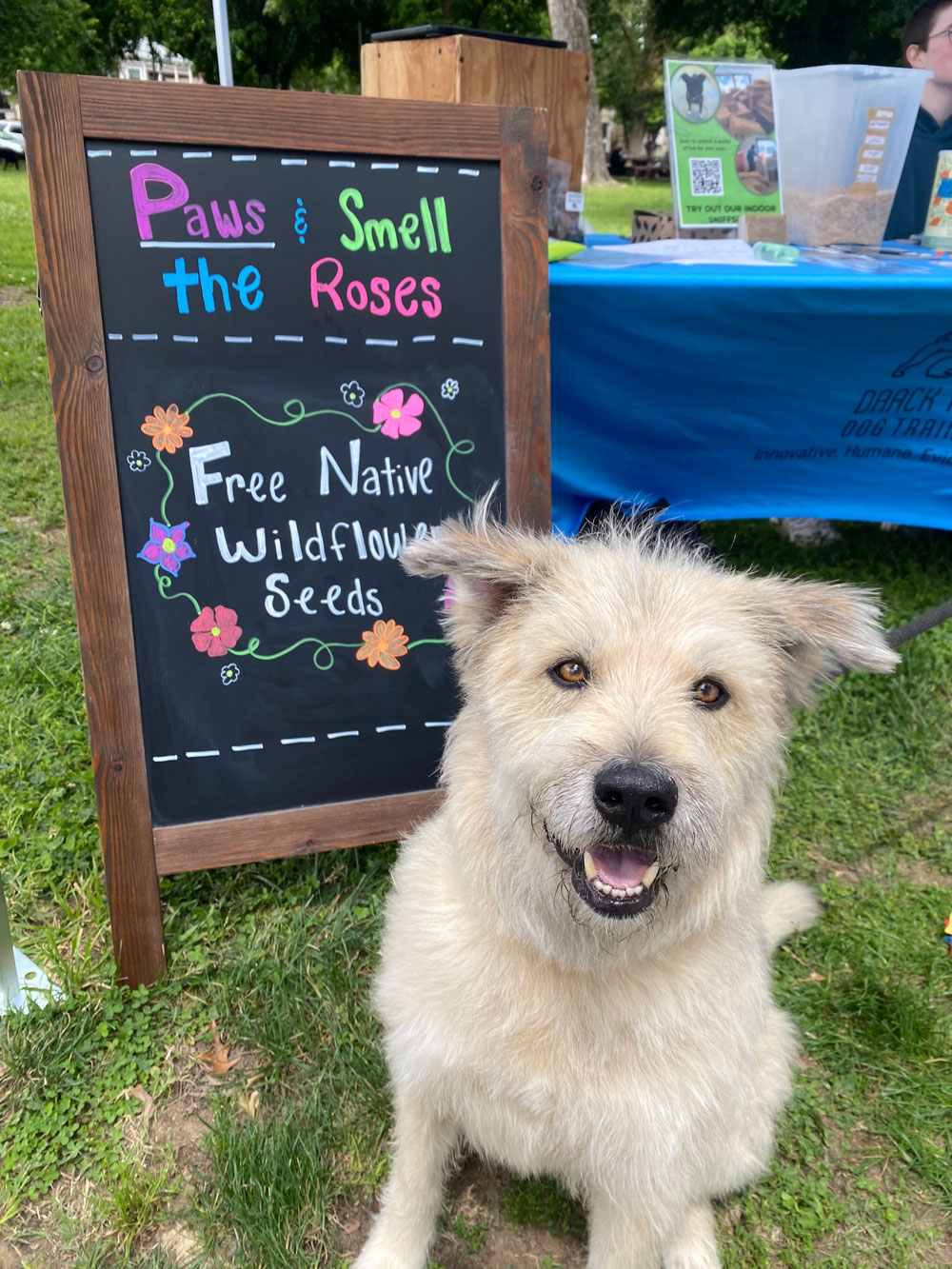 Cute dog