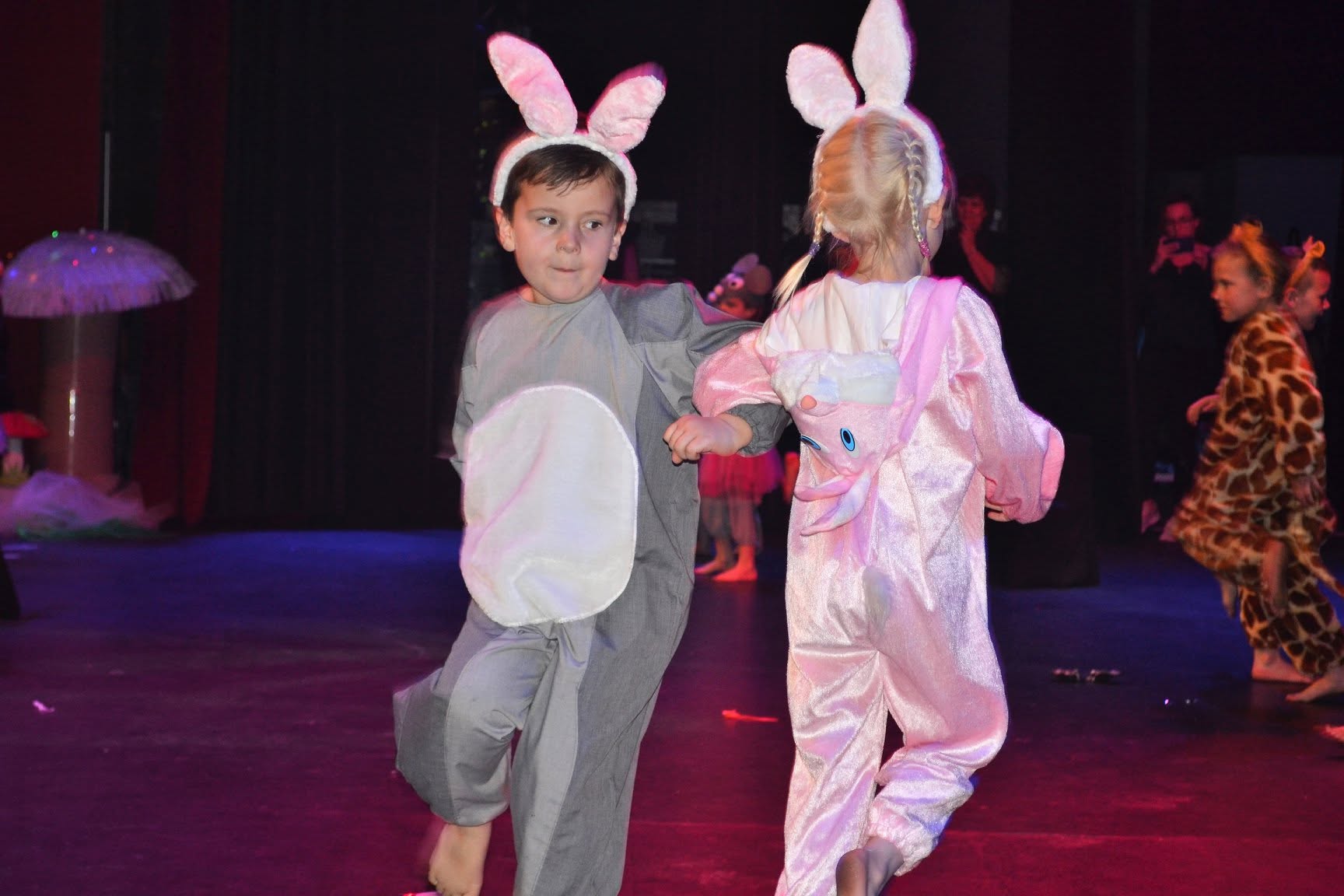Senior Revue