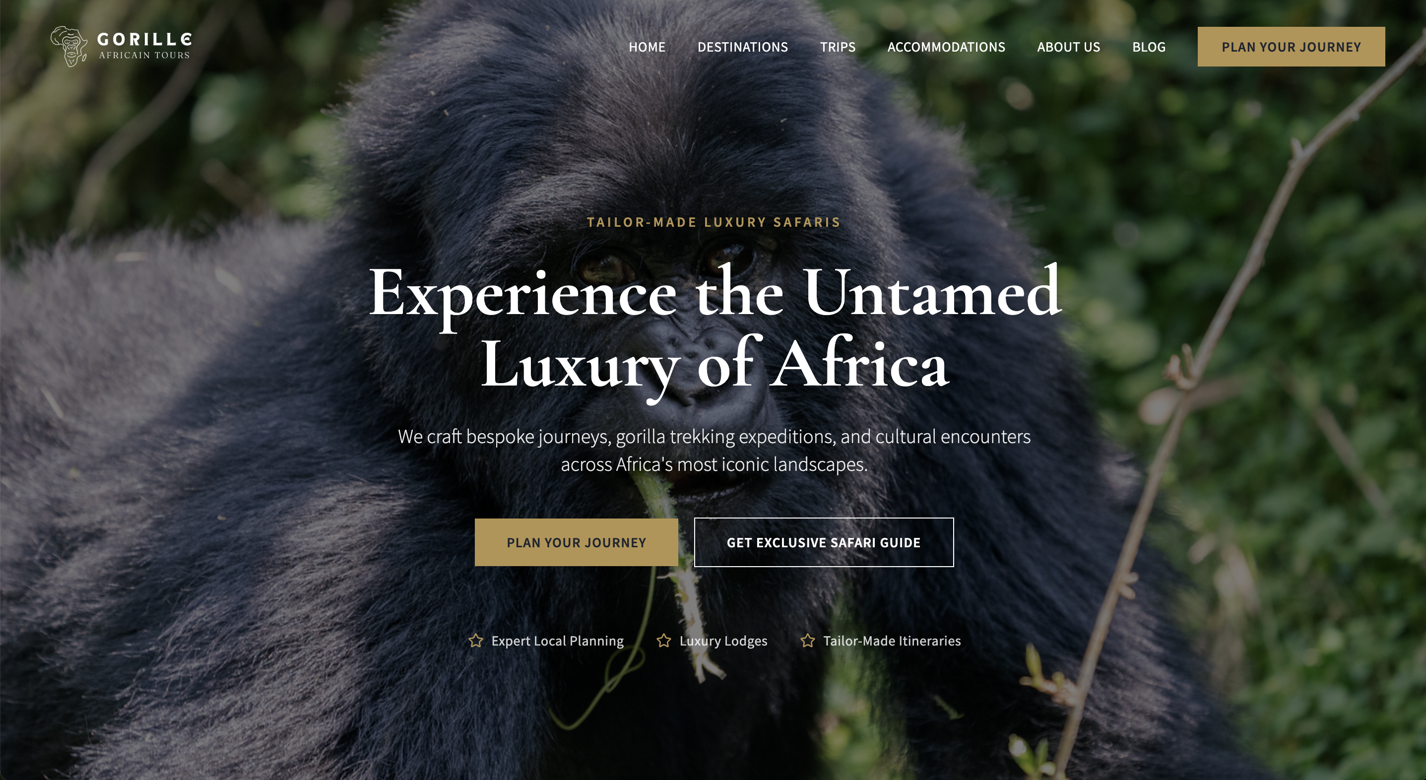 Gorille Africain Tours Website