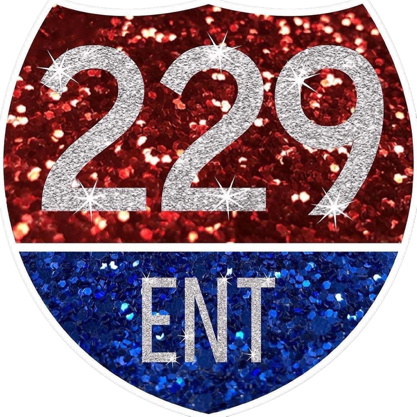 229 Entertainment