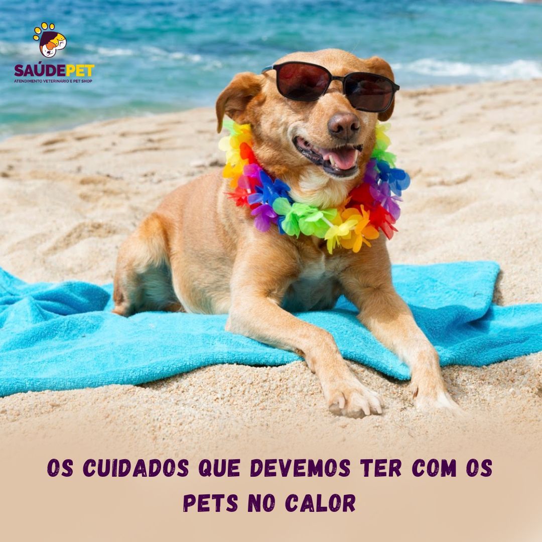 Espaço interno da Saúde Pet