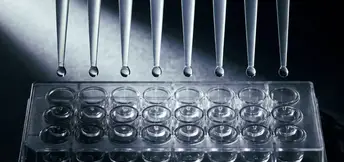 0.2 PCR Test