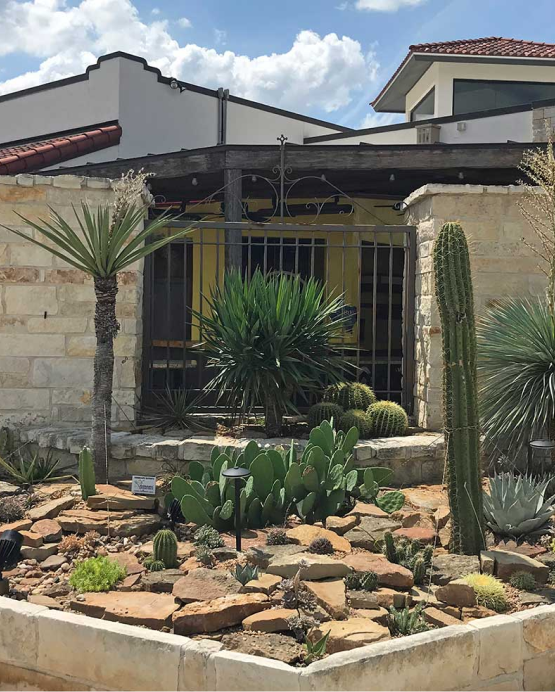 Cactus & Succulent Gardens