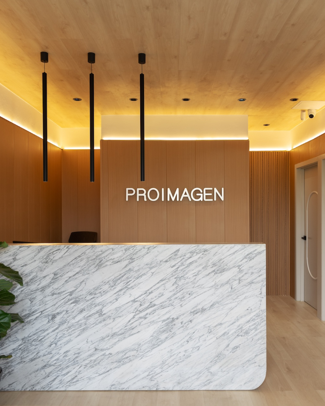 Proyecto ProImagen