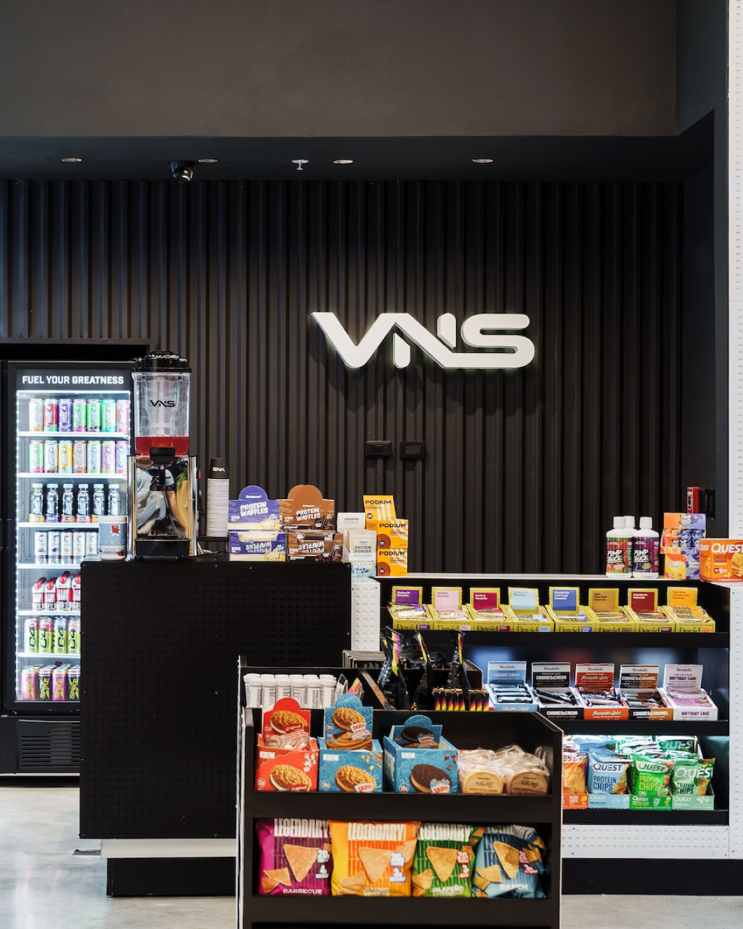 Proyecto VNS