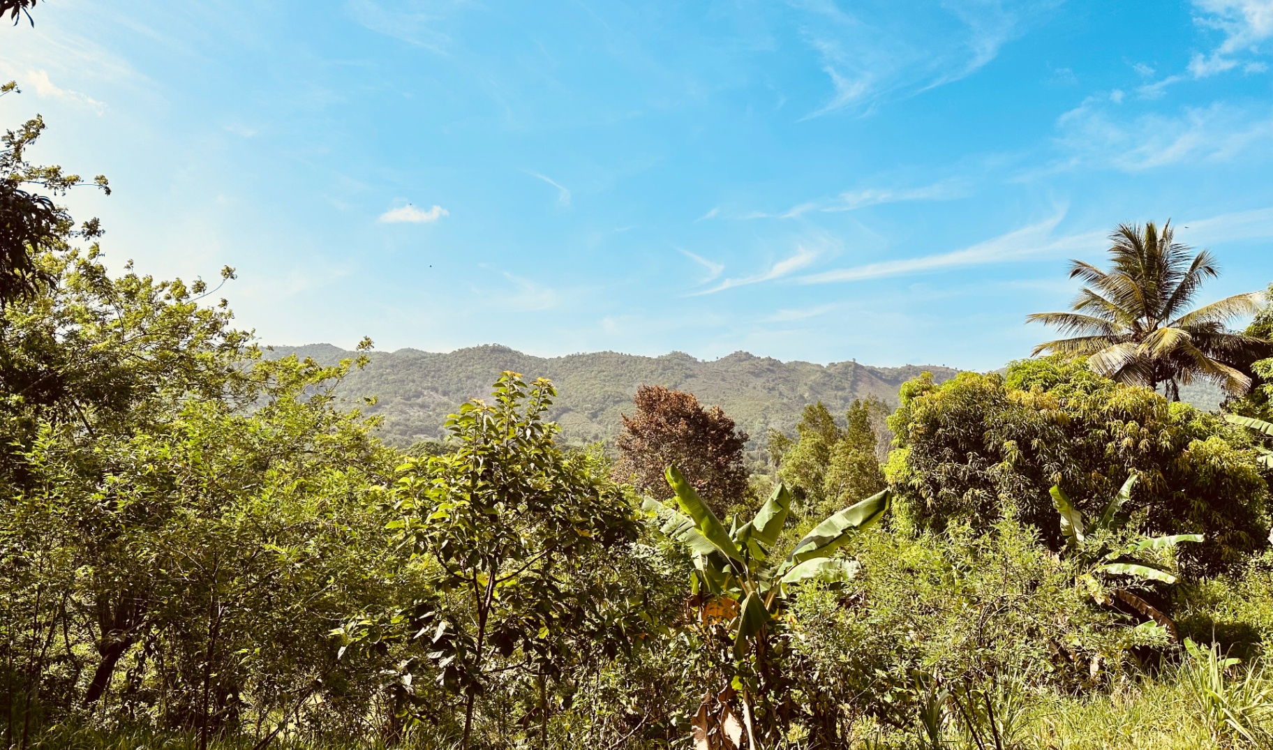 Oasis in the Mountains, Dominican Republic