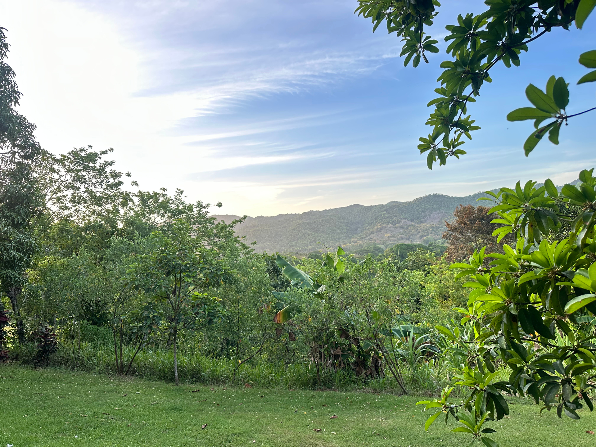 Wide landscape of the mountains