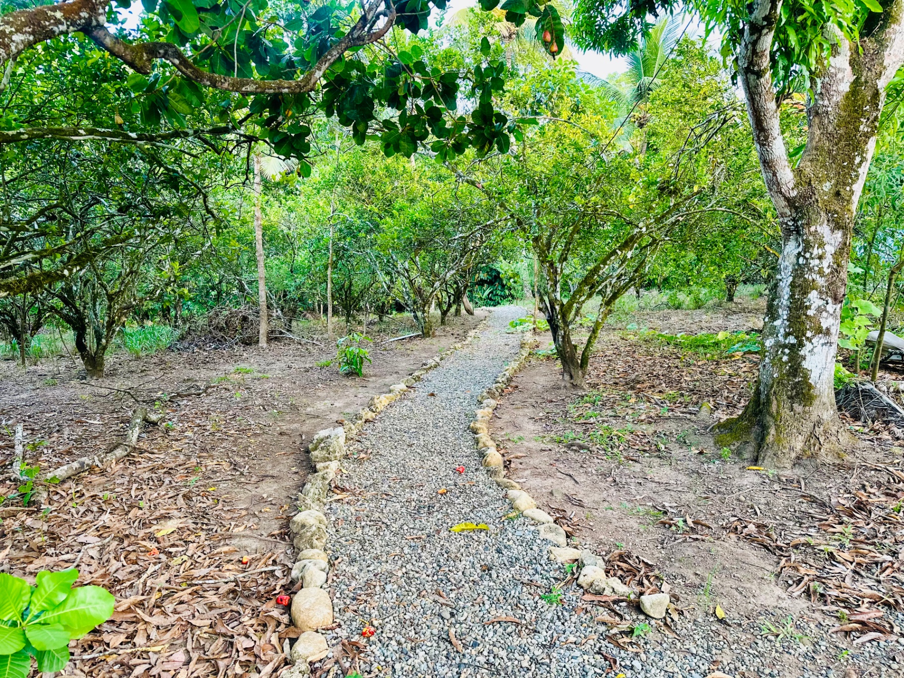 Path through the mountains
